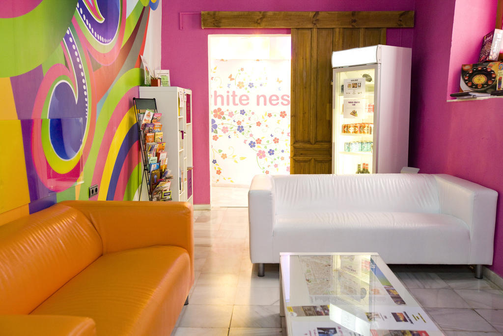 White Nest Hostel *
